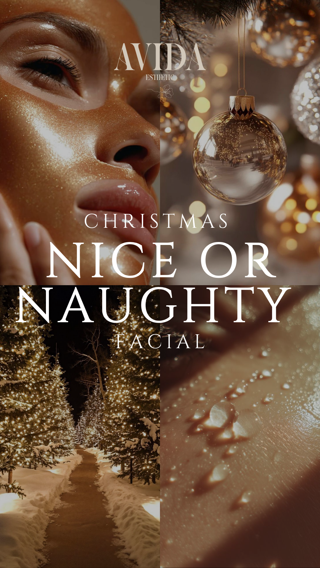 AVIDA CHRISTMAS COLLECTION – 5 SERVICIOS A ESCOGER (1)